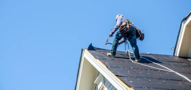 Best Roof Gutter Cleaning  in Sun Prairie, WI